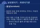 성의 해부학 6페이지