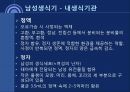 성의 해부학 11페이지