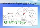 비바이러스성 벡터를 이용한 유전자 치료  9페이지