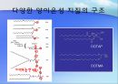 비바이러스성 벡터를 이용한 유전자 치료  10페이지