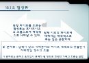  점성 11페이지