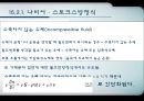  점성 17페이지