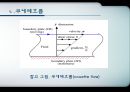  점성 21페이지