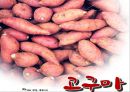 [영양과 생체] 고구마 (정의 유례 성분표 요리법).ppt 2페이지