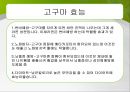 [영양과 생체] 고구마 (정의 유례 성분표 요리법).ppt 7페이지