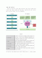 [공공재정관리론 논문]  중앙정부 및 지방정부 예산서 중심으로 9페이지