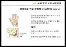 프로야구선수 손상 및 재활 치료 운동프로그램 - 야구 선수 (타자) 부상 및 처치방법.pptx 11페이지