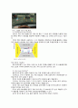 [로봇공학] 지능형 자동차 고안전 시스템 개발 동향 3페이지
