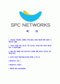[SPC네트웍스-최신공채합격 자기소개서] SPC네트웍스자소서,SPC네트웍스자기소개서,SPC네트웍스자소서,SPC네트웍스자기소개서,SPC자소서,SPC네트웍스,SPC,네트웍스 2페이지
