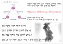 성 이야기 (성과 사랑) 4페이지