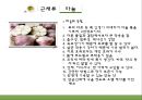 식품재료학. 채소류 7페이지