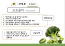식품재료학. 채소류 16페이지