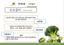 식품재료학. 채소류 17페이지