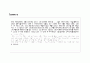  신라면 광고 기획서  2페이지