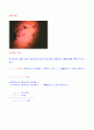 [물리실험a+] 뉴턴링의 원무늬 6페이지