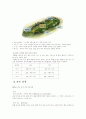  골프 6페이지