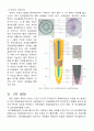 [생물] 25장 식물조직 7페이지