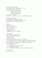  베트남 20페이지