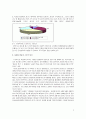  지상파방송 구조적, 재정적 위기 및 대응방안 2페이지