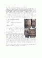 한국사 과제 - 10가지 유물조사 4페이지