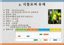 유채를 이용한 바이오 디젤엔진 5페이지