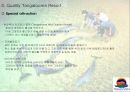 탕갈루마 리조트 21페이지