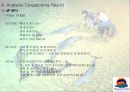 탕갈루마 리조트 26페이지