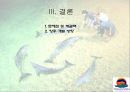 탕갈루마 리조트 30페이지