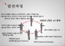 stp  nintendo 5페이지