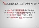 stp  nintendo 18페이지