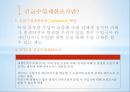 긴급수입제한조치  PPT 2페이지