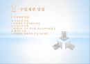 긴급수입제한조치  PPT 4페이지