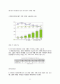  SPAO 스파오 브랜드분석과 스파오 해외시장진출 글로벌 마케팅 경영전략 분석과 나의의견 32페이지