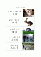 (A+)  단원명 : 날씨가 좋아요. : 의문문과 평서문 / 문형 : 현재 시제 활용인 ‘-아/어/해요’ /문법 : -아/어/해요,  기능 : 비격식체 표현 말하기  12페이지