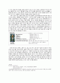 [학술적 글쓰기] 장애인 고용 - 장애인들은 어떻게 먹고 살아갈까? 2페이지