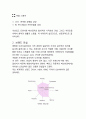  컴바인 전략 분석(brand story, 4p, swot, stp, 포지셔닝맵, vmp ~)  4페이지