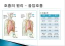 사람의 호흡계 5페이지