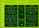 인터넷 광고 11페이지
