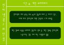 인터넷 광고 19페이지