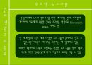 인터넷 광고 24페이지