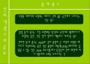 인터넷 광고 31페이지