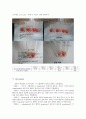 Complement Activity 3페이지