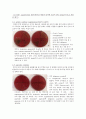 1030_화수목금_세균의 분리-1~4 7페이지