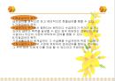  국민기초생활보장법(기초생활보장, 수급권자, 차상위계층, 자활지원, 급여, 기초생활보장시설) PPT 파워포인트 8페이지