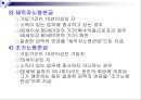 국민연금법 (국민연금, 총칙, 가입자, 보험료, 연금급여, 종류와 급여수준, 급여제한).PPT 27페이지