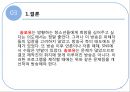  송포유 긍정적시각, 부정적 시각 30페이지