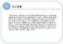  송포유 긍정적시각, 부정적 시각 31페이지