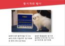 [호텔경영론] 킨텍스 - KINTEX 34페이지