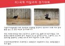 [호텔경영론] 킨텍스 - KINTEX 36페이지