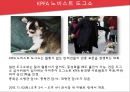 [호텔경영론] 킨텍스 - KINTEX 38페이지